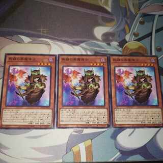 熟練の栗魔導士 ノーマル JP024