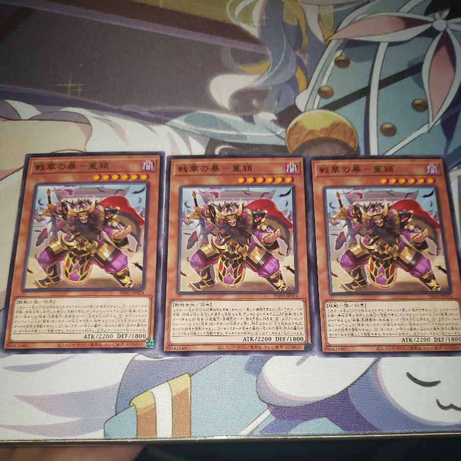 戦華の暴-董穎 ノーマル JP024