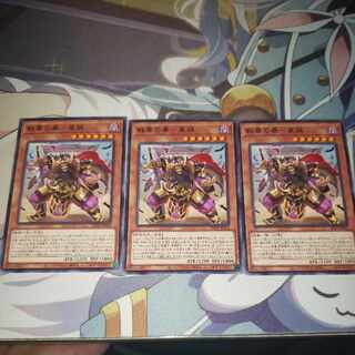 戦華の暴-董穎 ノーマル JP024