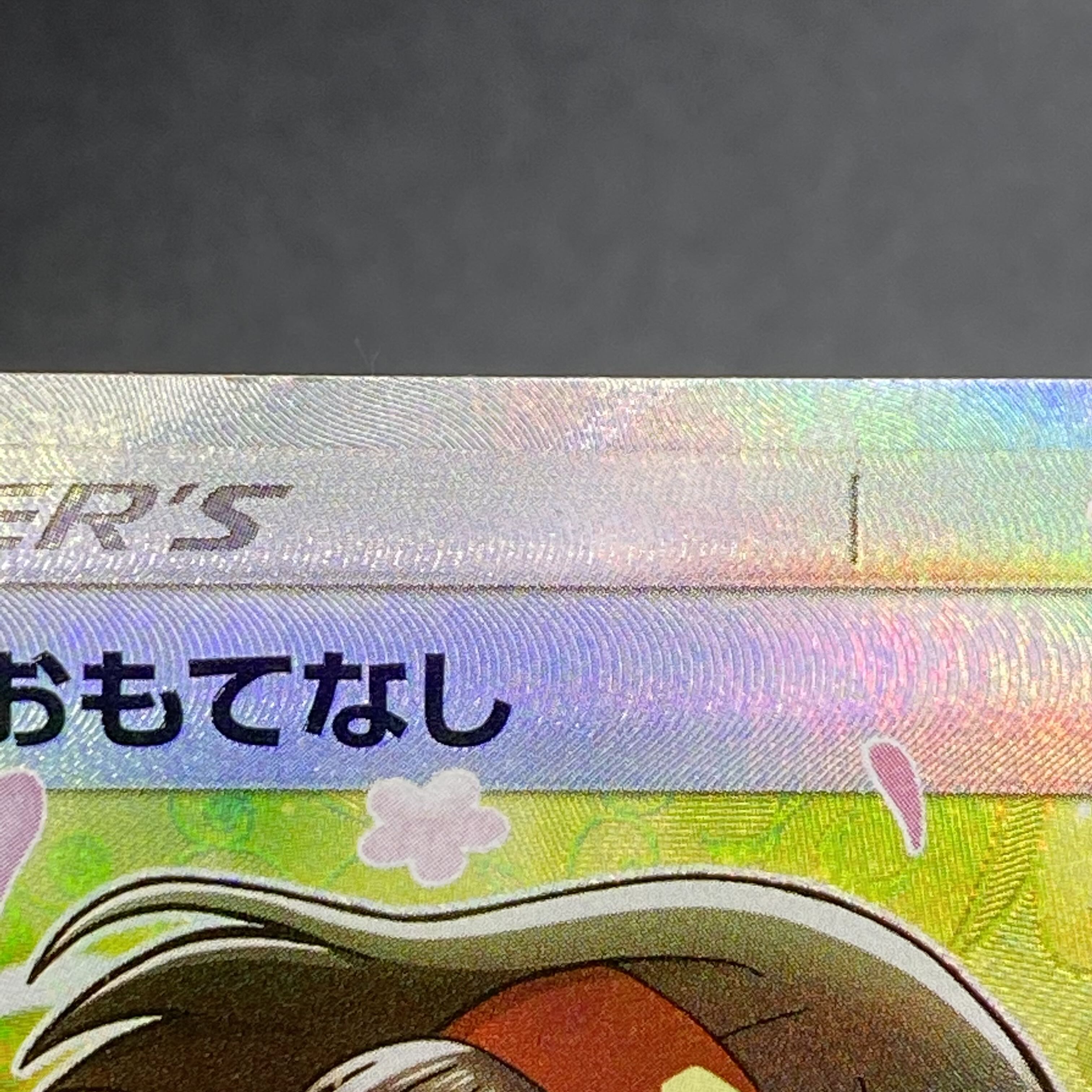 Erika's Hospitality SR 107/095