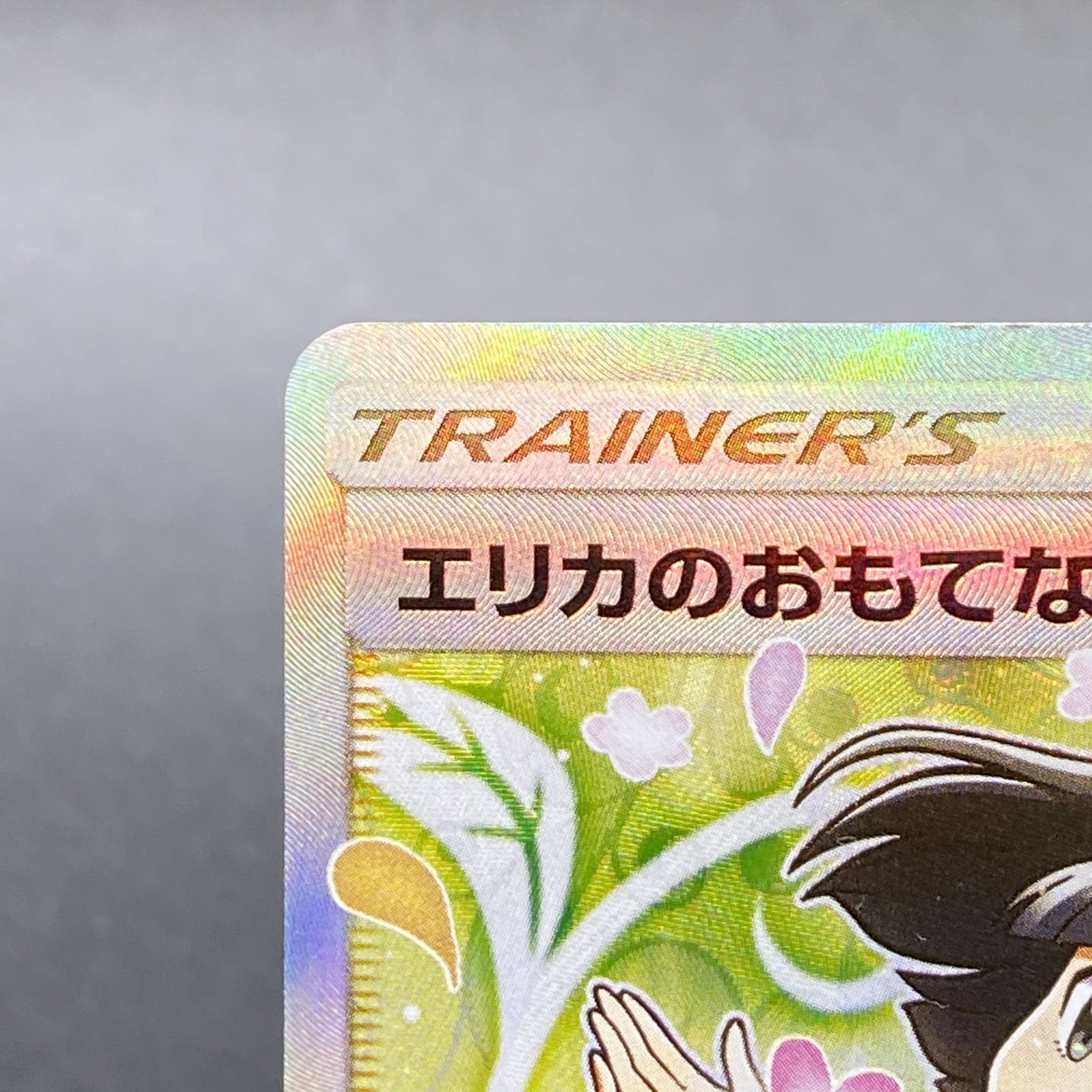 Erika's Hospitality SR 107/095