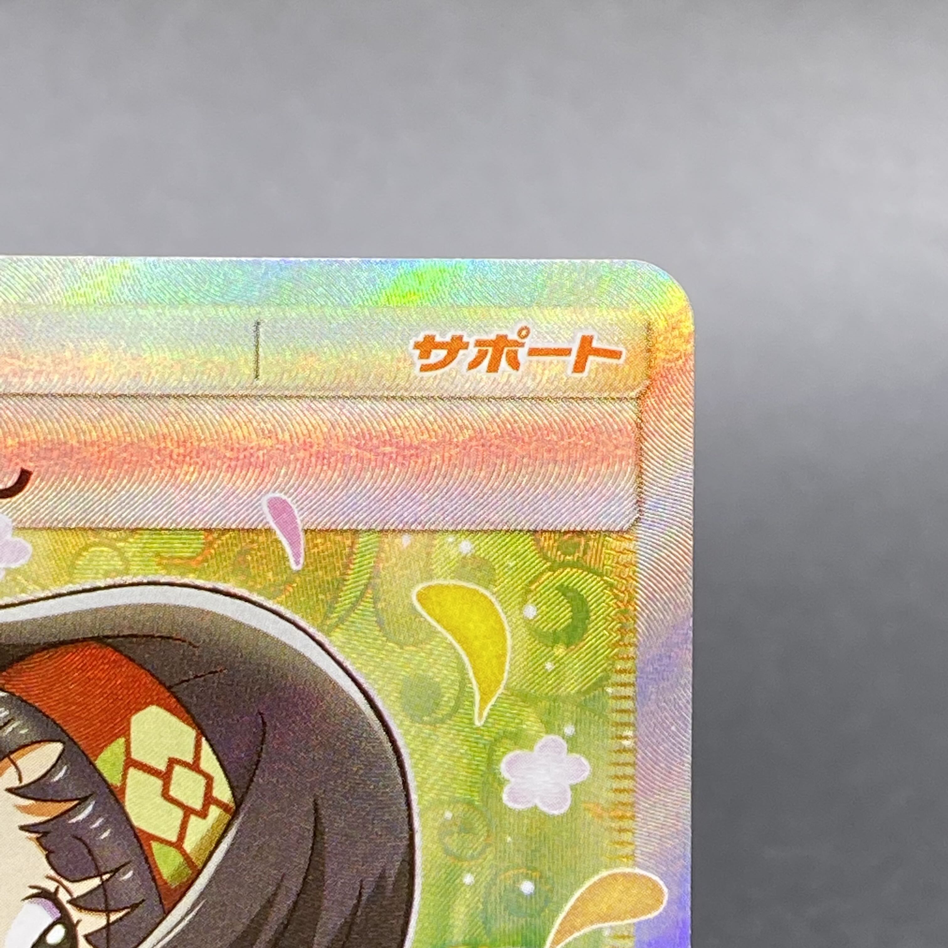 Erika's Hospitality SR 107/095