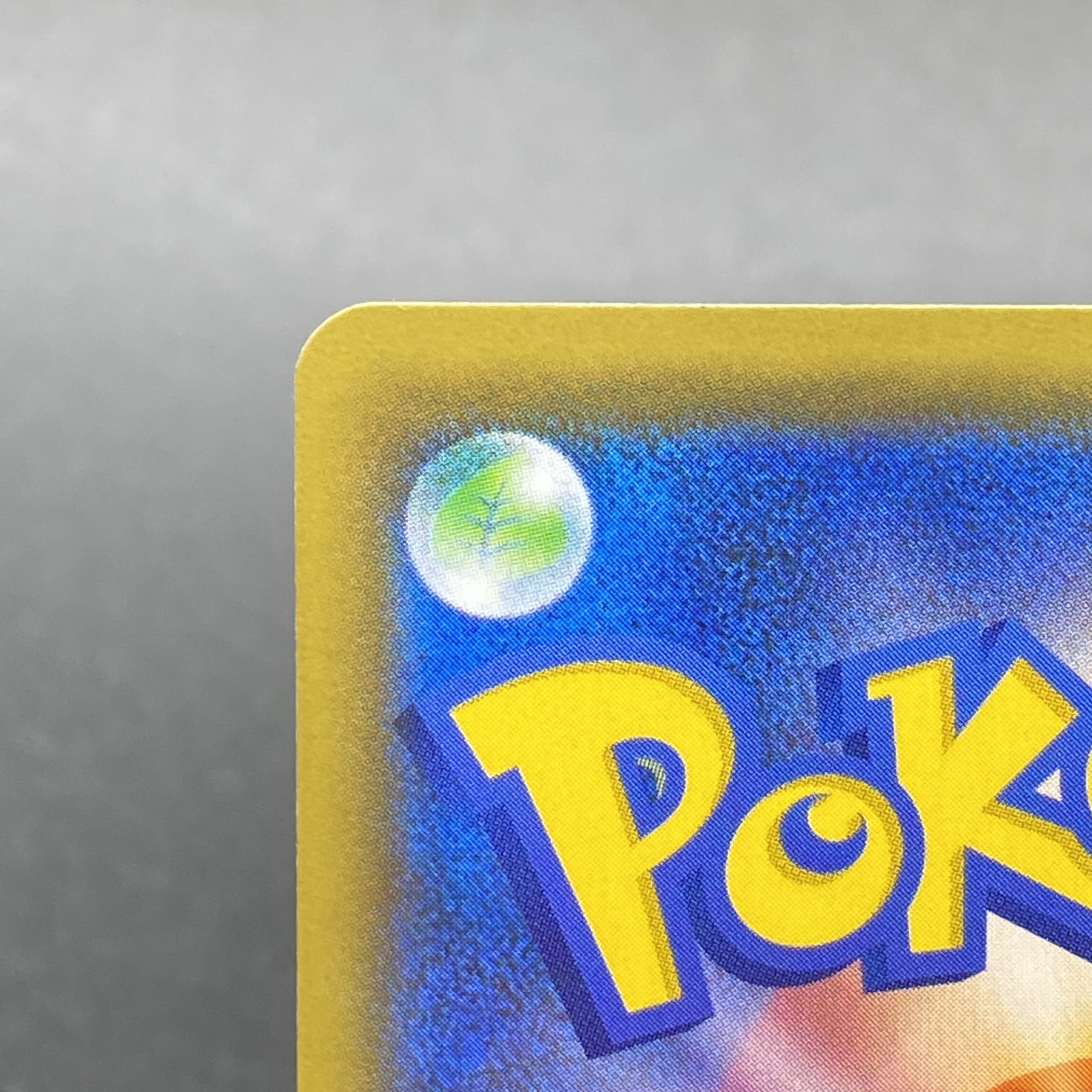 Erika's Hospitality SR 107/095