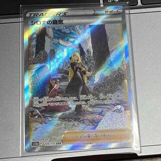 Cynthia's high energy sar