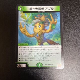 Young Grand Elder Apul.