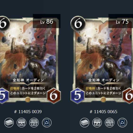 全知神 オーディン 2枚セット