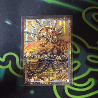 サヴァクティス