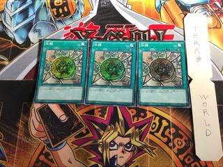 収縮 MP01 1 ミレニアム 3枚セット てら