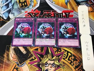 悪魔のサイコロ 15AX 2 ミレニアム 3枚セット てら