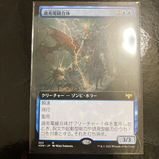 Overcharged Amalgam Rare 363/277