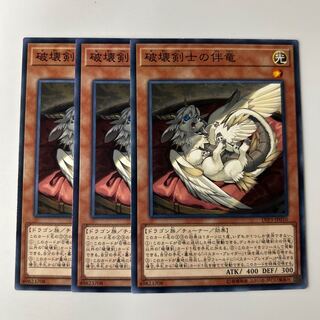 9920 破壊剣士の伴竜 ノーマル JP010