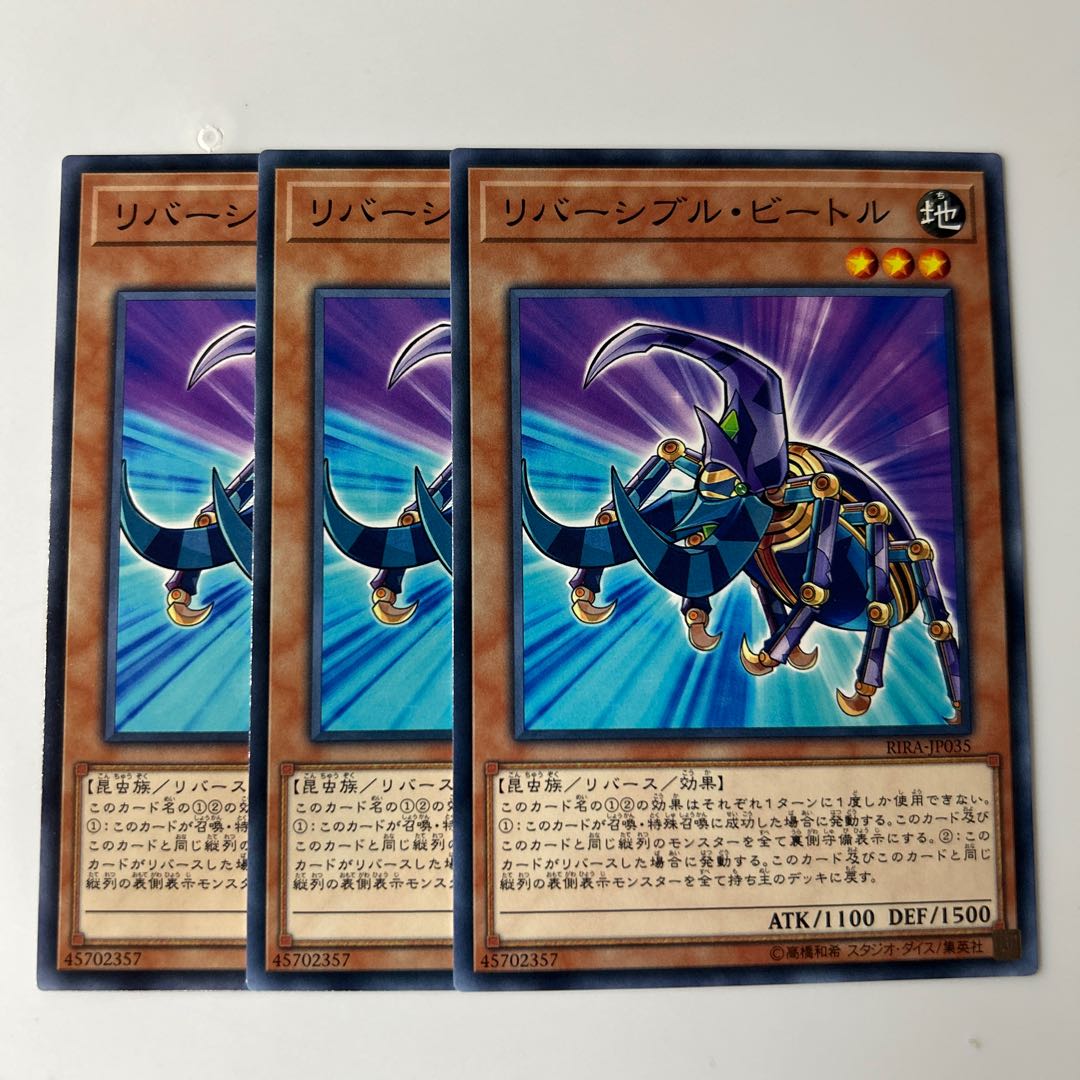 9925 Reversible Beetle $5878