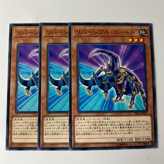 9925 リバーシブル・ビートル ノーマル JP035