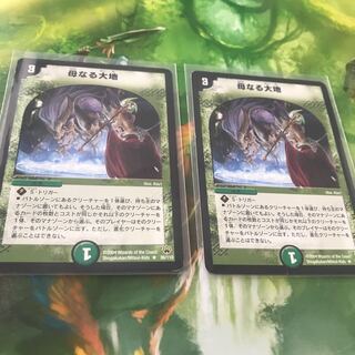 母なる大地 2枚セット