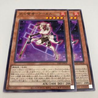 武の賢者-アーカス　ノーマルパラレル　2枚