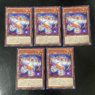 スプライト・レッド ノーマル JP006 5枚セット