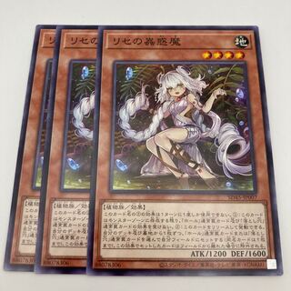 Traptrix Genlisea Normal 3 sheets