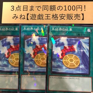 Medallion of the Ice Barrier Parallel Normal JP029