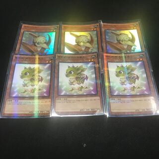 【韓国】　ベビケラサウルス パラレル ノーマル JP013