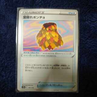 Poncho with hidden leaves 147/172 1枚