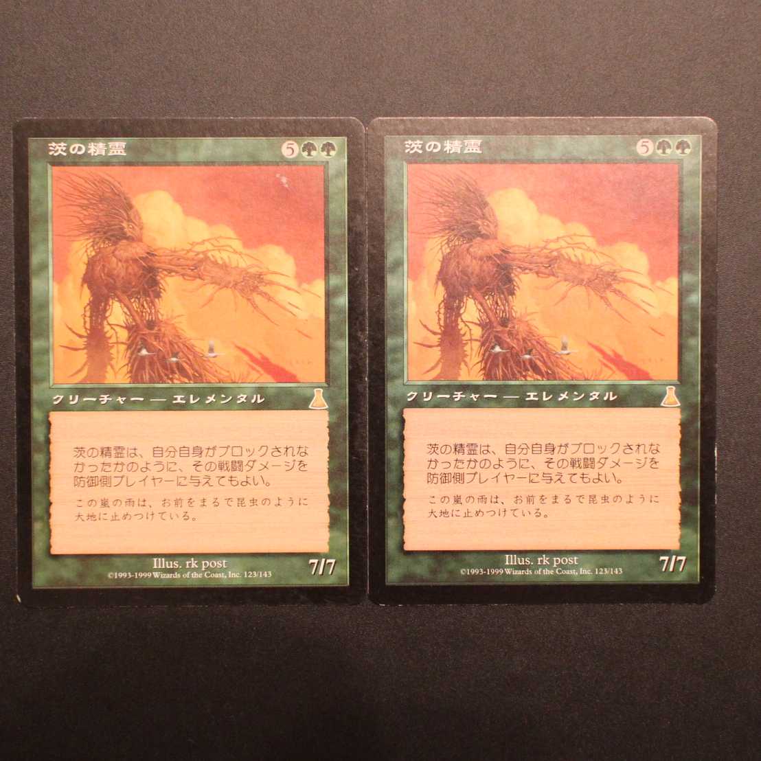 UDS【茨の精霊】日本語 2枚セット