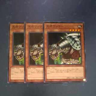 王虎ワンフー ノーマル JP403 ✕3　【木林堂】