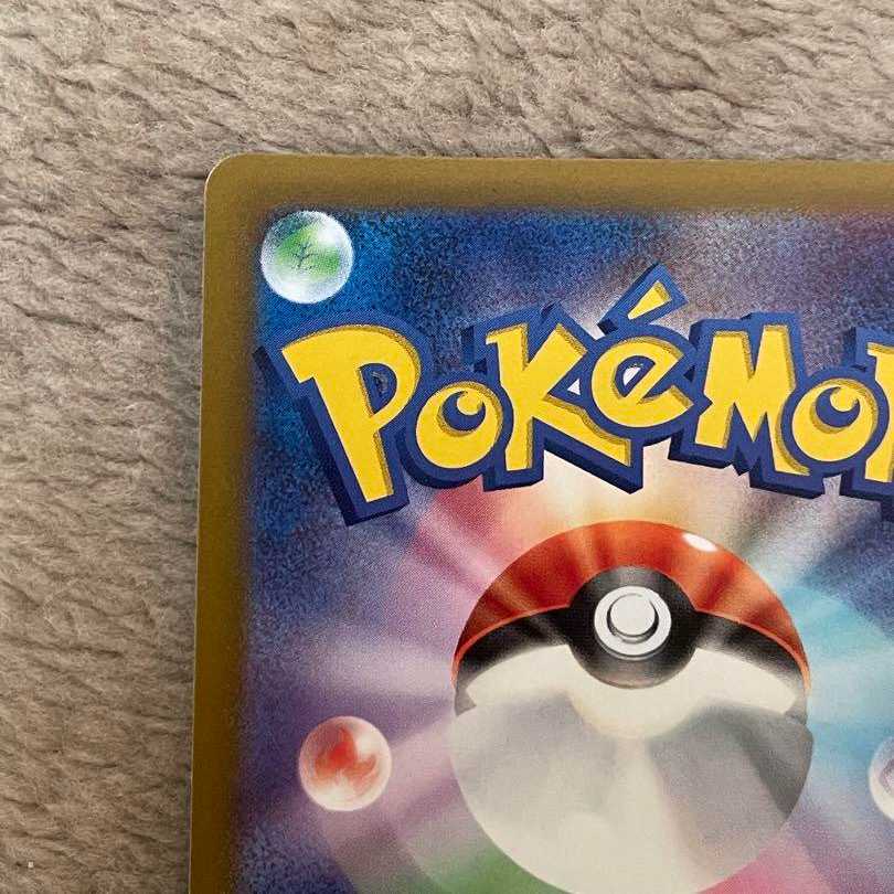 long-sleeved sleeveless kimono