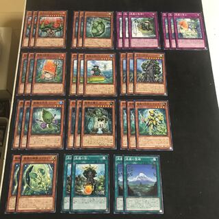 森羅　デッキパーツ　３６枚