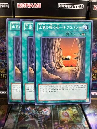 Yu-Gi-Oh Studio 2345 Valley of the Kings Sleeps - Necro Valley 3 normal