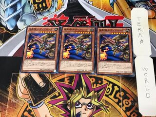 Lord Gaia the Fierce Knight MVPC 4 KC Set of 3 Tera.