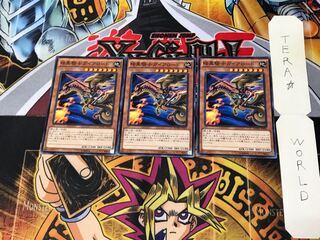 Lord Gaia the Fierce Knight MVPC 5 KC Set of 3 Tera.