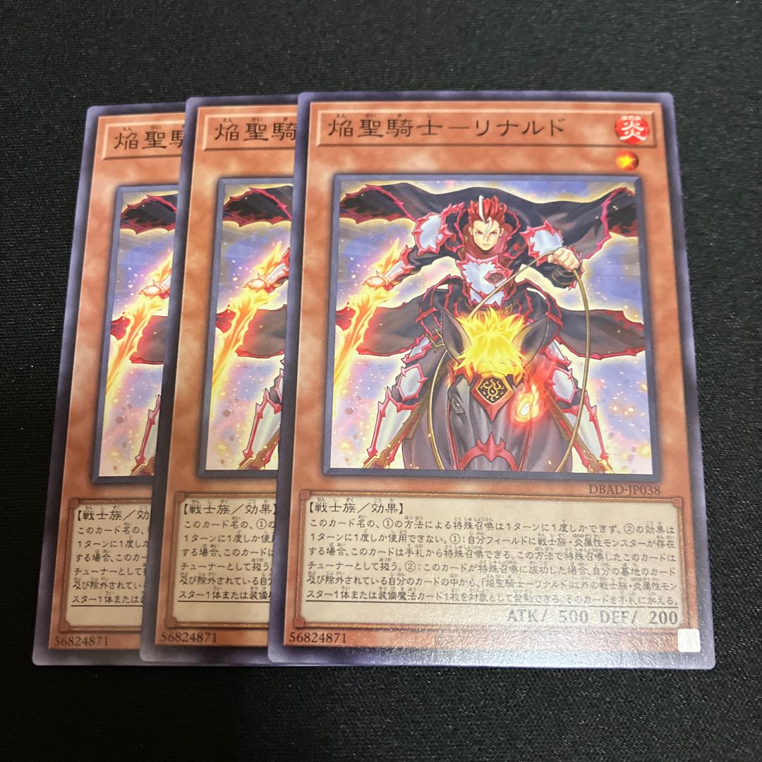 Flame Holy Knight - Rinaldo Normal 3 pieces