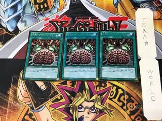 洗脳-ブレインコントロール GDB1 1 ゴールド 3枚セット てら