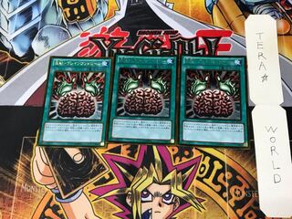 洗脳-ブレインコントロール GDB1 5 ゴールド 3枚セット てら