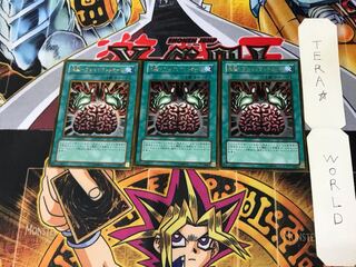 洗脳-ブレインコントロール GS02 1 ゴールド 3枚セット てら