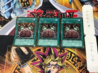 洗脳-ブレインコントロール GS02 3 ゴールド 3枚セット てら