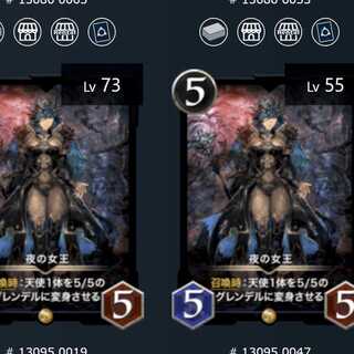 夜の女王　2枚セット