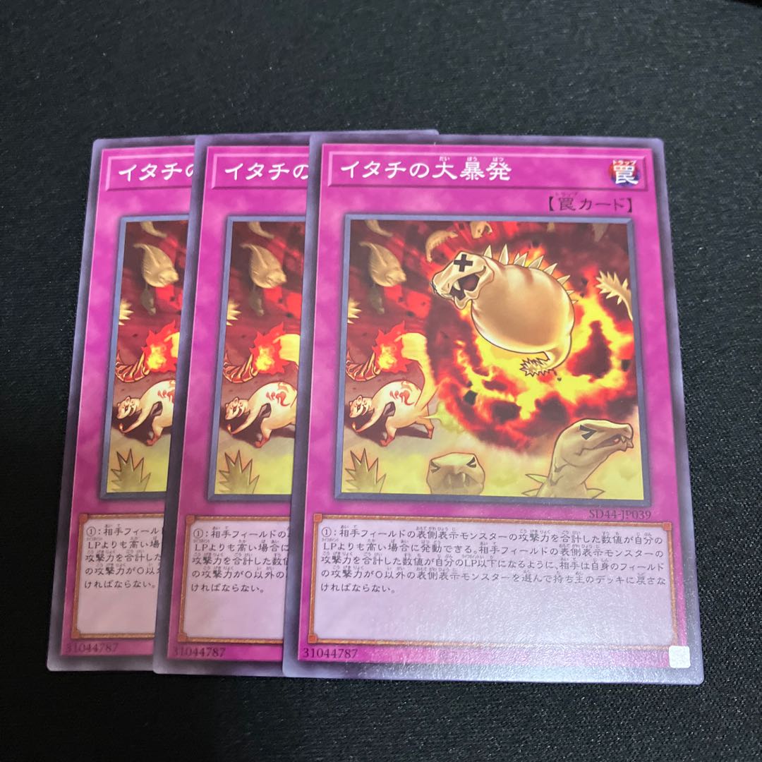 Ferret Flames Normal 3