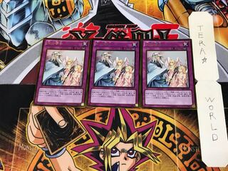 Solemn Warning GS05 3 Gold Set of 3 Tera