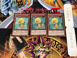 ダンディライオン GDB1 2 ゴールド 3枚セット てら