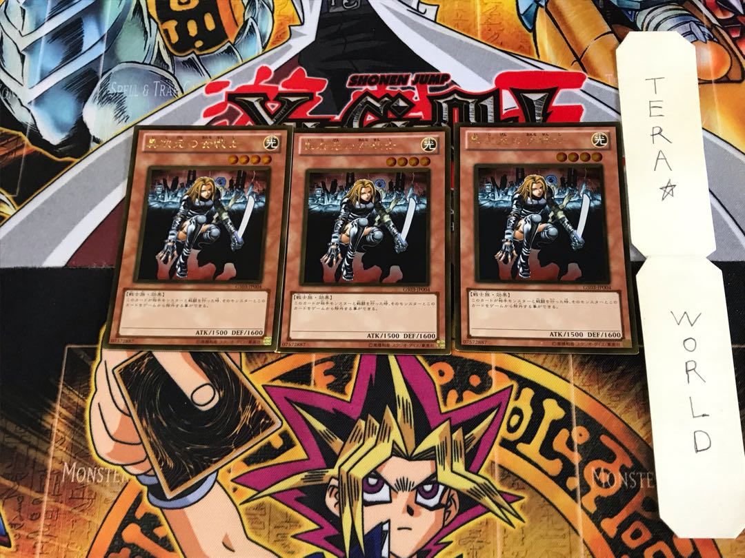 D.D. Warrior Lady GS03 2 Gold Set of 3 Tera