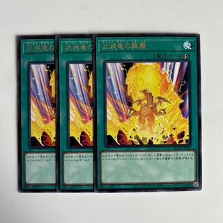 9965 Armed Dragon Flash $5984