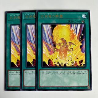 9966 武装竜の霹靂 レア JP051