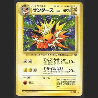 Jolteon LV.29 [Poor] old back/managed by MP3104