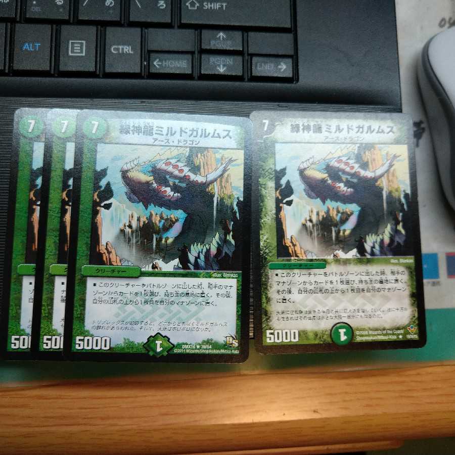 緑神龍ミルドガルムス