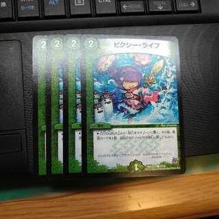 ピクシー・ライフ4枚