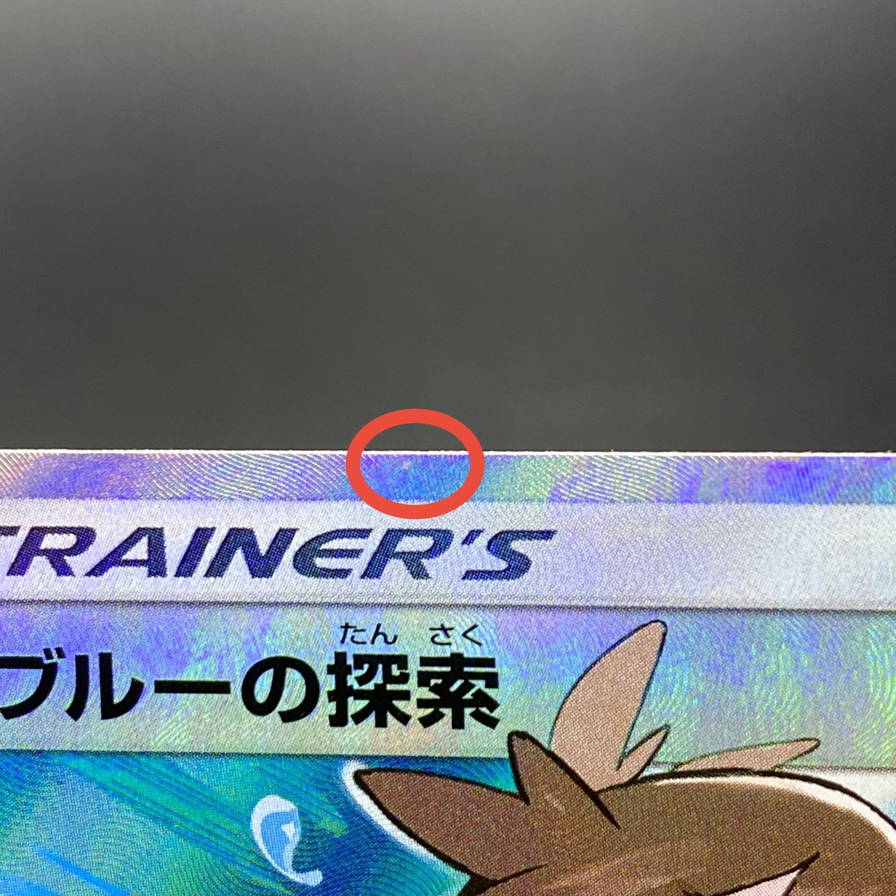 Green's Exploration SR 196/173