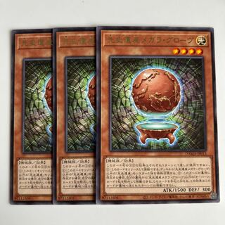 9998 Chronomaly Magella Globe $6027