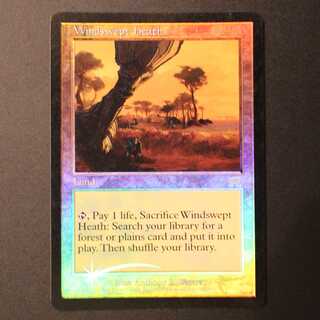 ONS【吹きさらしの荒野】英語 Foil