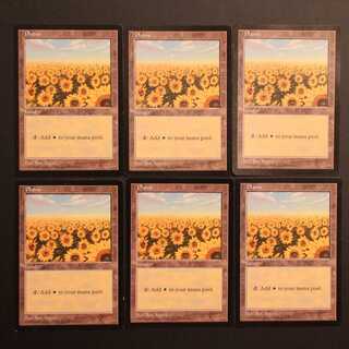 APAC【平地（ひまわり畑）】英語 2枚セット 2枚